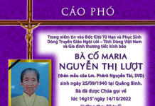 AI TÍN: Bà Cố Maria Nguyễn Thị Lượt (Thân mẫu của Lm. Phêrô Nguyễn Tài, SVD)