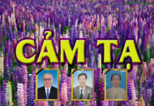 CẢM TẠ