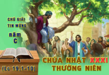 Chú giải Tin Mừng Chúa Nhật XXXI Thường Niên, Năm C (Lc 19,1-10)