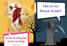Lời tự sự của Thần Chết
