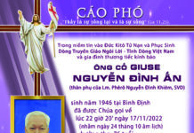AI TÍN: Ông Cố Giuse NGUYỄN ĐÌNH ẤN (thân phụ Lm. Phêrô Nguyễn Đình Khiêm, SVD)