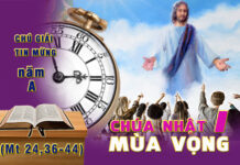 Chú Giải Tin Mừng Chúa Nhật I Mùa Vọng, Năm A (Mt 24,36-44)