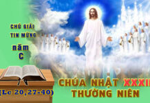 Chú Giải Tin Mừng Chúa Nhật XXXII Thường Niên, Năm C (Lc 20,27-40)
