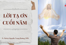 Lời Tạ Ơn Cuối Năm