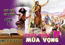 Chú Giải Tin Mừng Chúa Nhật II Mùa Vọng, Năm A (Mt 3,1-12)