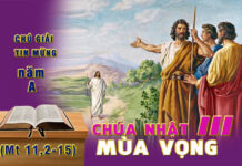 Chú giải Tin Mừng Chúa Nhật III Mùa Vọng, Năm A (Mt 11,2-15)