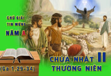 Chú Giải Tin Mừng Chúa Nhật II Thường Niên, Năm A (Ga 1,29-34)