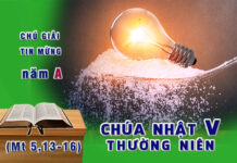 Chú Giải Tin Mừng Chúa Nhật V Thường Niên A (Mt 5,13-16)