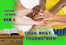 Chú Giải Tin Mừng Chúa Nhật VII Thường Niên, Năm A (Mt 5,38-48)