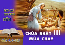 Chú Giải Tin Mừng Chúa Nhật III Mùa Chay, Năm A (Ga 4,4-43)