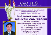 CÁO PHÓ: Ông Cố Gioan B. Nguyễn Văn Trông (thân phụ của Lm. GB. Nguyễn Văn Thuật, SVD)
