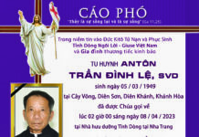 CÁO PHÓ: Tu sĩ Antôn Trần Đình Lệ, SVD
