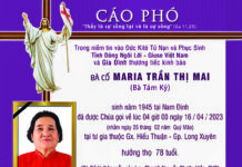 AI TÍN: Bà Cố Maria Trần Thị Mai (thân mẫu của Lm. Phaolô Nguyễn Phước Hiền, SVD)