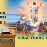 Chú Giải Tin Mừng Chúa Nhật Lễ Chúa Thăng Thiên, Năm A (Mt 28,16-20)