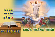 Chú Giải Tin Mừng Chúa Nhật Lễ Chúa Thăng Thiên, Năm A (Mt 28,16-20)