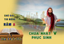 Chú Giải Tin Mừng Chúa Nhật V Phục Sinh, Năm A (Ga 14,1-12)