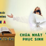 Chú Giải Tin Mừng Chúa Nhật VI Phục Sinh, Năm A (Ga 14,15-24)