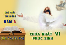 Chú Giải Tin Mừng Chúa Nhật VI Phục Sinh, Năm A (Ga 14,15-24)