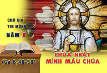 Chú Giải Tin Mừng Lễ Mình Máu Chúa (Ga 6,48-59)