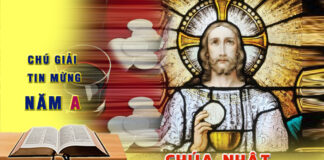 Chú Giải Tin Mừng Lễ Mình Máu Chúa (Ga 6,48-59)