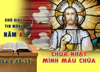 Chú Giải Tin Mừng Lễ Mình Máu Chúa (Ga 6,48-59)