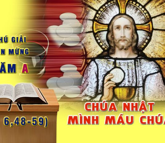 Chú Giải Tin Mừng Lễ Mình Máu Chúa (Ga 6,48-59)