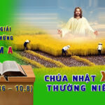 Chú giải Tin Mừng Chúa Nhật XI Thường Niên, năm A (Mt 9,36 – 10,8)