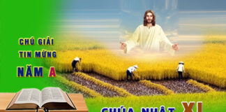 Chú giải Tin Mừng Chúa Nhật XI Thường Niên, năm A (Mt 9,36 – 10,8)