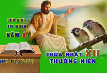 Chú Giải Tin Mừng Chúa Nhật XII Thường Niên, Năm A (Mt 10,26-33)