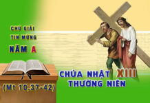 Chú giải Tin Mừng Chúa Nhật XIII Thường Niên, Năm A (Mt 10,37-42)