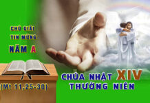 Chú Giải Tin Mừng Chúa Nhật XIV Thường Niên, Năm A (Mt 11,25-30)