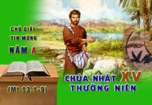 Chú Giải Tin Mừng Chúa Nhật XV Thường Niên, Năm A (Mt 13,1-9)