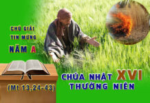 Chú Giải Tin Mừng Chúa Nhật XVI Thường Niên, Năm A (Mt 13,24-43)