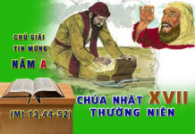 Chú Giải Tin Mừng Chúa Nhật XVII Thường Niên, Năm A (Mt 13,44-52)