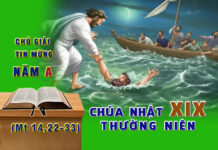 Chú Giải Tin Mừng Chúa Nhật XIX Thường Niên, Năm A (Mt 14,22-33)
