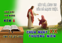Chú Giải Tin Mừng Chúa Nhật XX Thường Niên, Năm A (Mt 15,21-28)