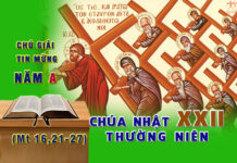 Chú giải Tin Mừng Chúa Nhật XXII Thường Niên, Năm A (Mt 16,21-27)