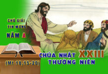 Chú giải Tin Mừng Chúa Nhật XXIII Thường Niên, Năm A (Mt 18,15-20)