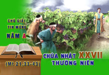 Chú Giải Tin Mừng Chúa Nhật XXVII Thường Niên, Năm A (Mt 21,33-43)