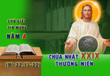 Chú giải Tin Mừng Chúa Nhật XXIX Thường Niên, Năm A (Mt 22,15-22)