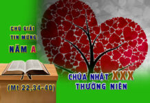 Chú giải Tin Mừng Chúa Nhật XXX Thường Niên, Năm A (Mt 22,34-40)