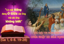 Chú Giải Tin Mừng Chúa Nhật III Mùa Vọng Năm B (Ga 1,6-8.15.19-34)