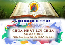 CHÚA NHẬT LỜI CHÚA 21/01/2024: TỰ SẮC & HƯỚNG DẪN CỬ HÀNH MỤC VỤ