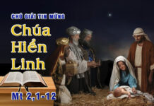 Chú Giải Tin Mừng Chúa Nhật, Lễ Chúa Hiển Linh (Mt 2,1-12)