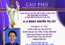 AI TÍN: Bà cố Maria NGUYỄN THỊ CÁT (Thân mẫu Lm. Phaolô Trần Khắc Công, SVD)