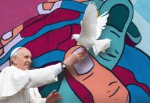 SỐNG TINH THẦN LAUDATO SÍ VÀ FRATELLI TUTTI