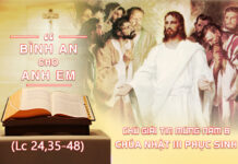 Chú Giải Tin Mừng Chúa Nhật III Phục Sinh năm B (Lc 24,35-48)