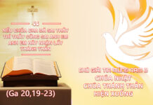 Chú Giải Tin Mừng Lễ Chúa Thánh Thần Hiện Xuống (Ga 20,19-23)