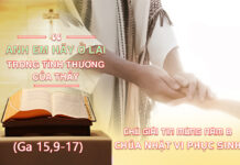 Chú giải Tin Mừng Chúa Nhật VI Phục Sinh Năm B (Ga 15,9-17)