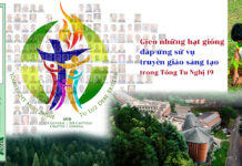 Gieo những hạt giống đáp ứng sứ vụ truyền giáo sáng tạo trong Tổng Tu Nghị 19